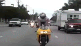stupidbiker.gif