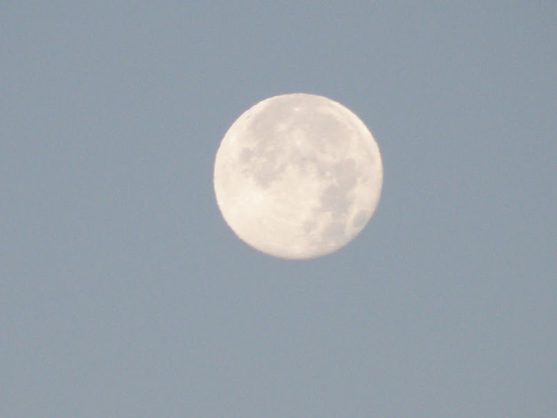 P7264977.JPG