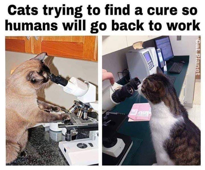 5eb4775b2e9fc.jpeg