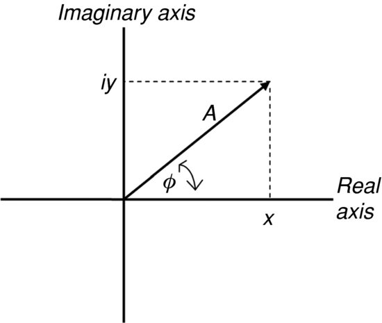 nc10005803.jpg