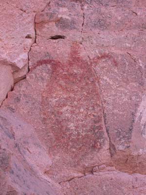rockart%20turtle.jpg