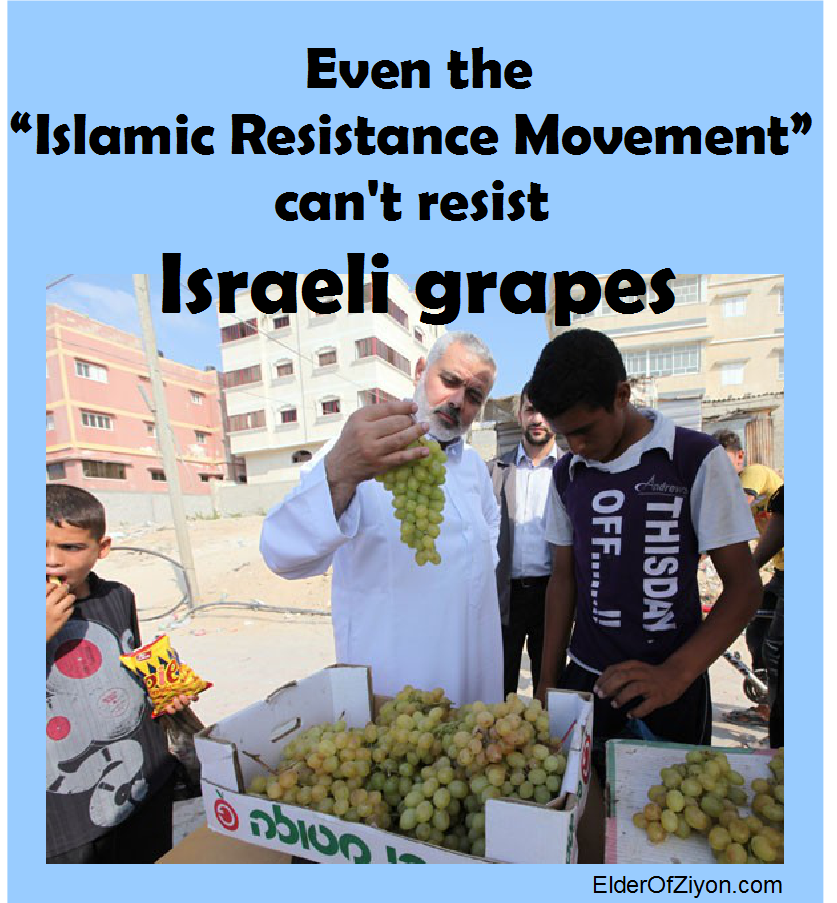 haniyeh+grapes.png