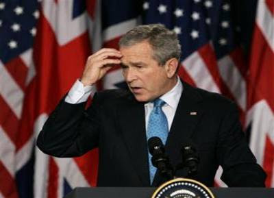 Bush+Flags.jpg