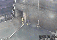 QOnhZrl.gif
