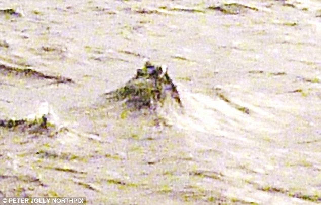 1415359791515_wps_16_MYSTERIOUS_PICTURE_TAKEN_.jpg