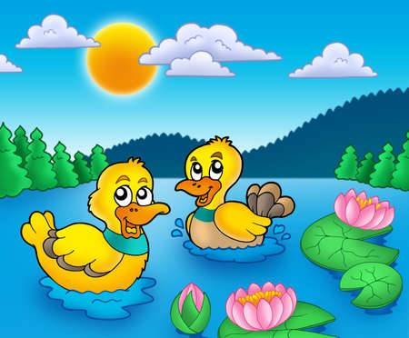 7254724-two-ducks-and-water-lillies--color-illustration.jpg