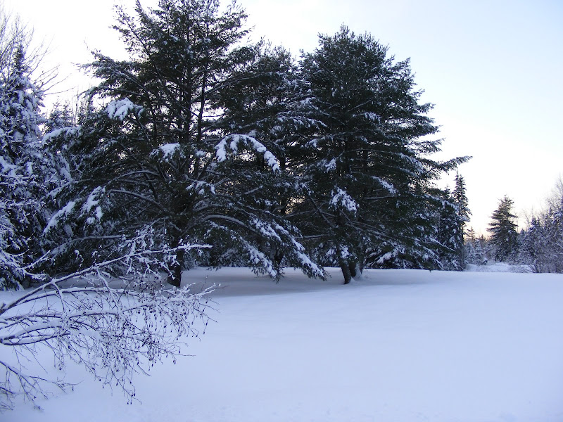 DSCF0184.JPG