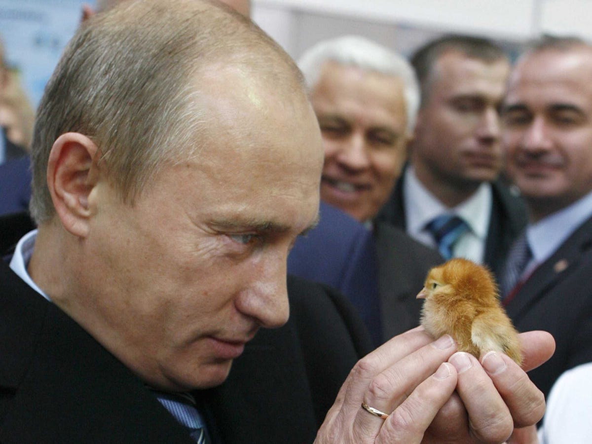 russia-putin-chick-3.jpg
