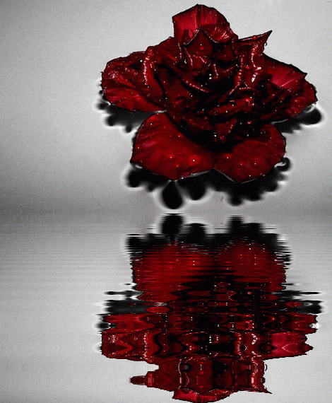 imageedit_3_5248750016_zpsmduftasr.gif