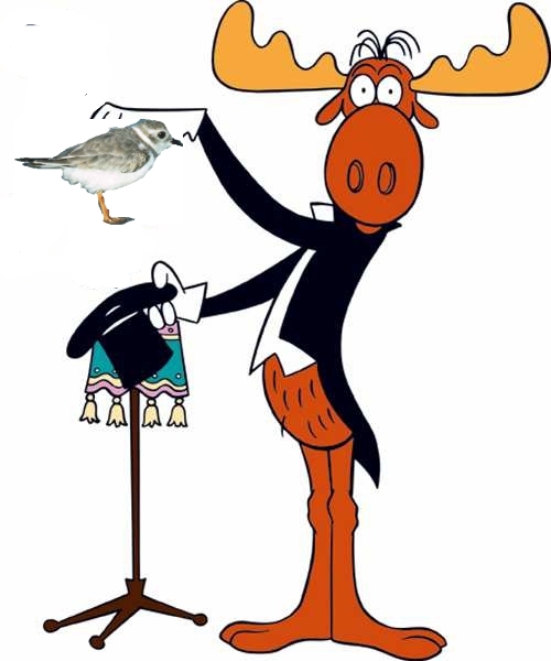 dogblog-bullwinkle-ppl.jpg
