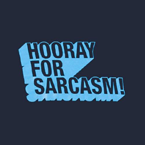 Sarcasm-sarcasm-7520043-500-500.jpg