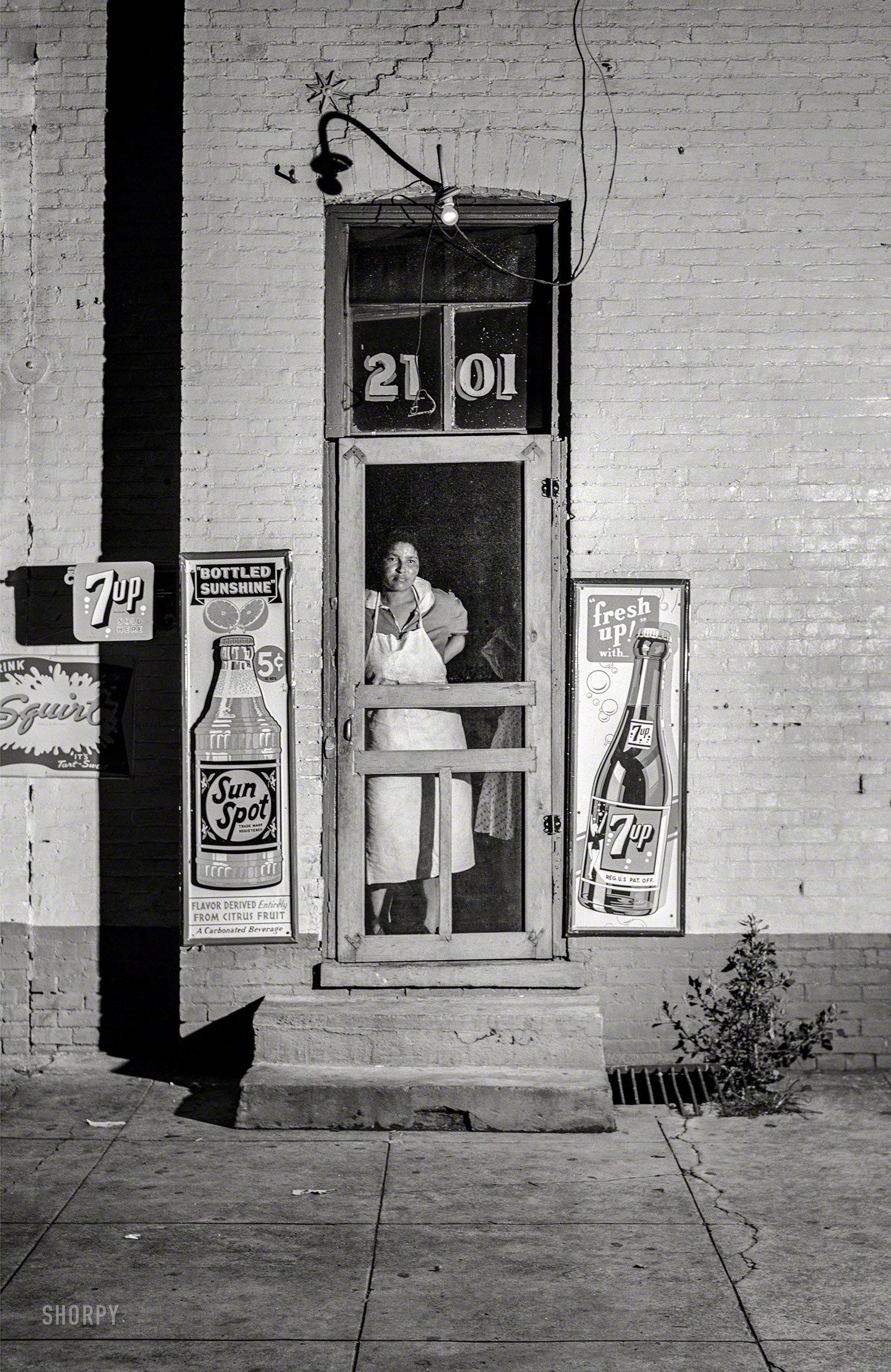 SHORPY-8b14665a1.jpg