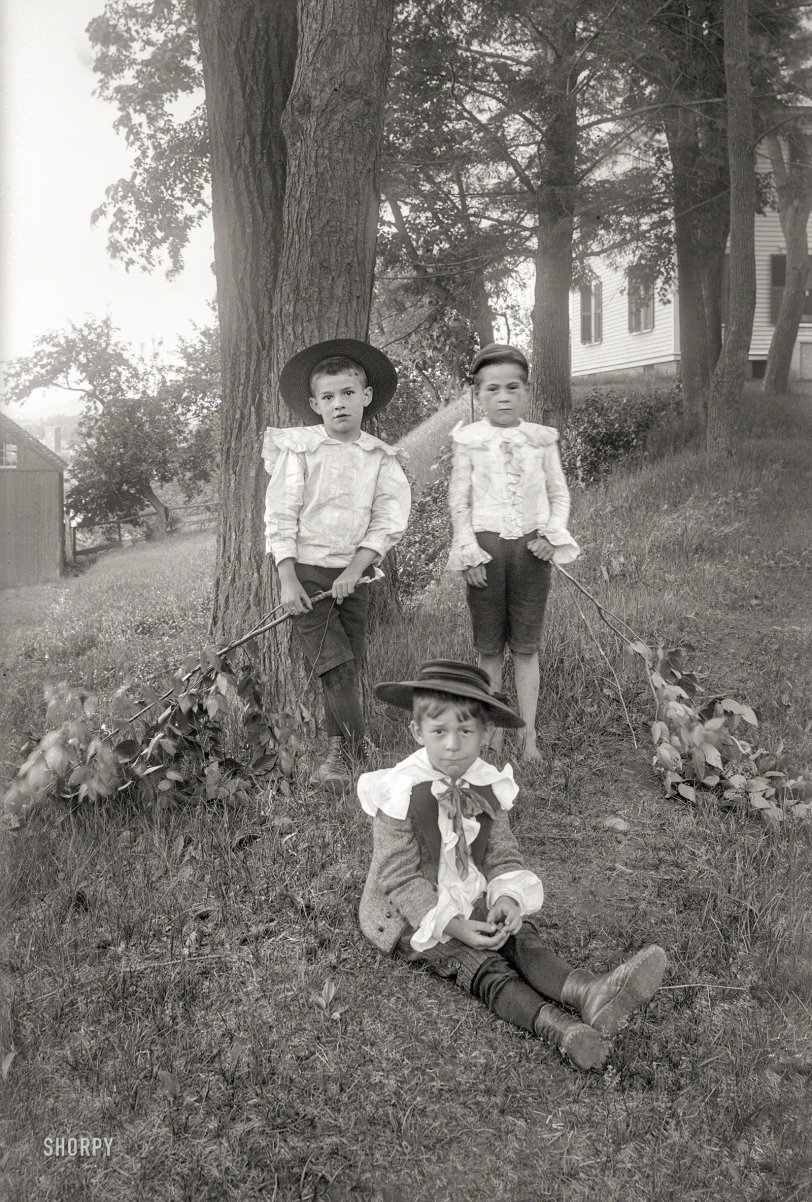 SHORPY-897B.preview.jpg