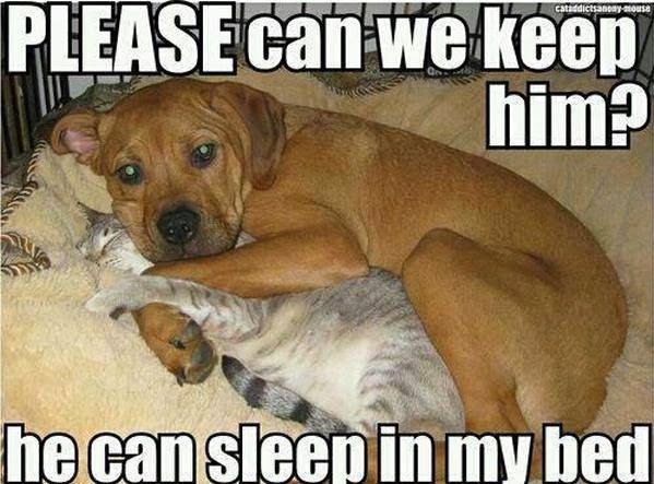 can+we+keep+him.jpg
