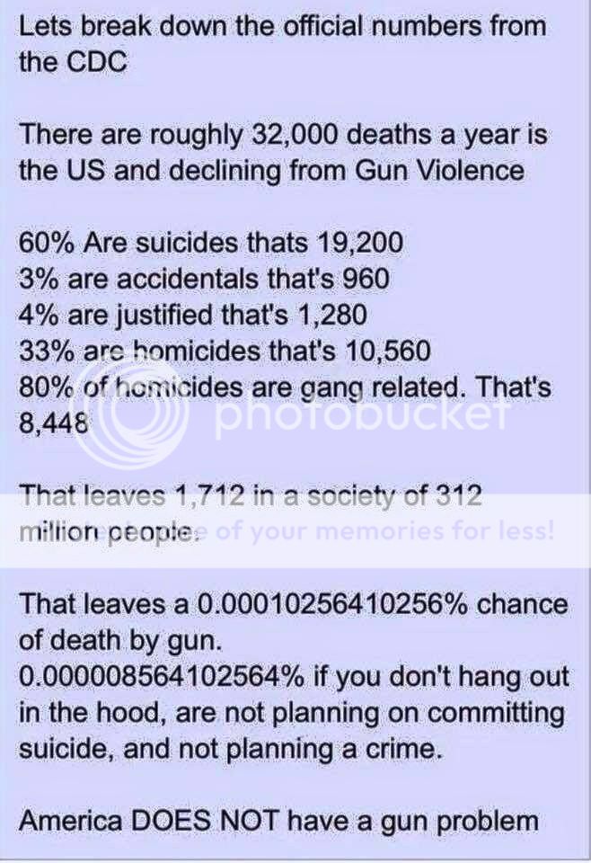 GunDeathStatsUSA_zpsy6j4z1in.jpg