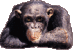 h9w0y.gif]
