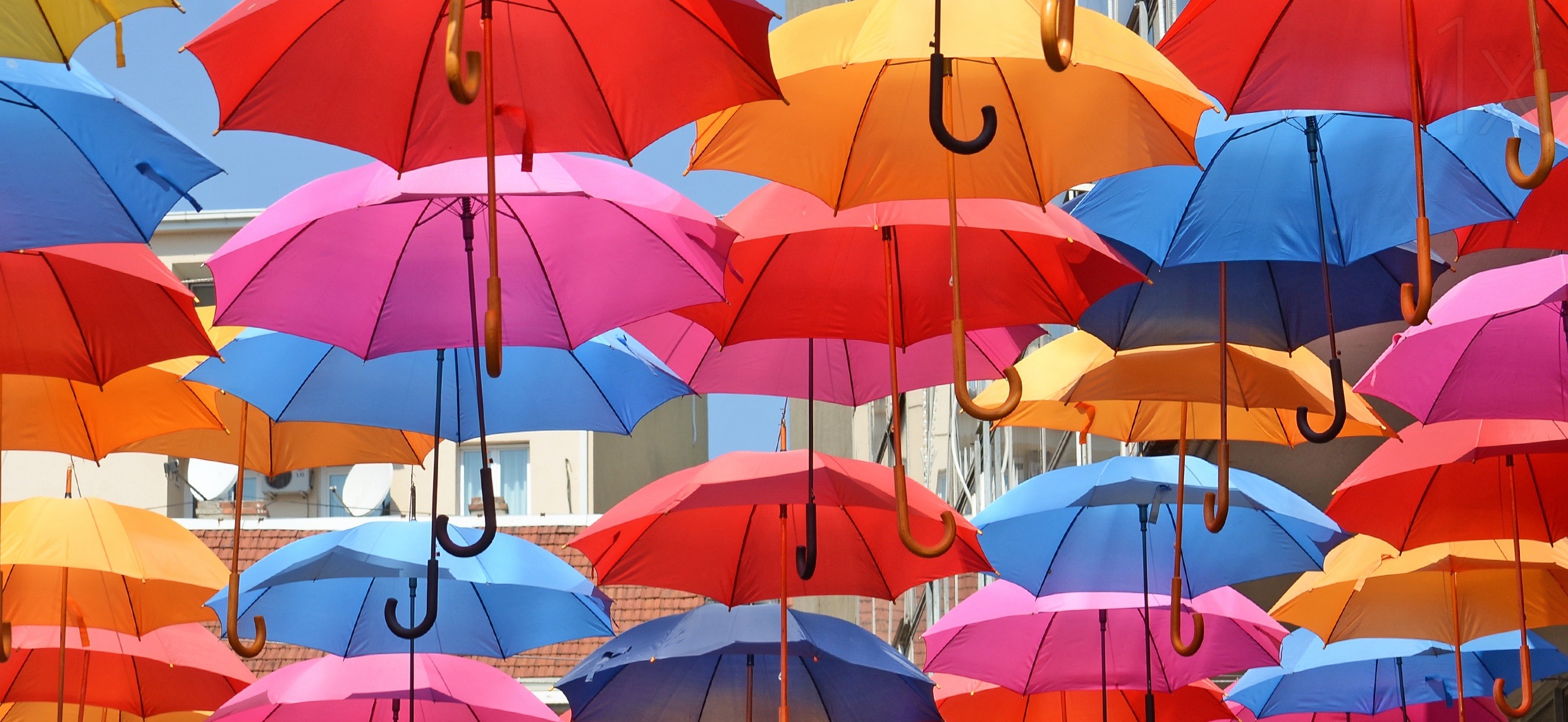 umbrella-9.jpg