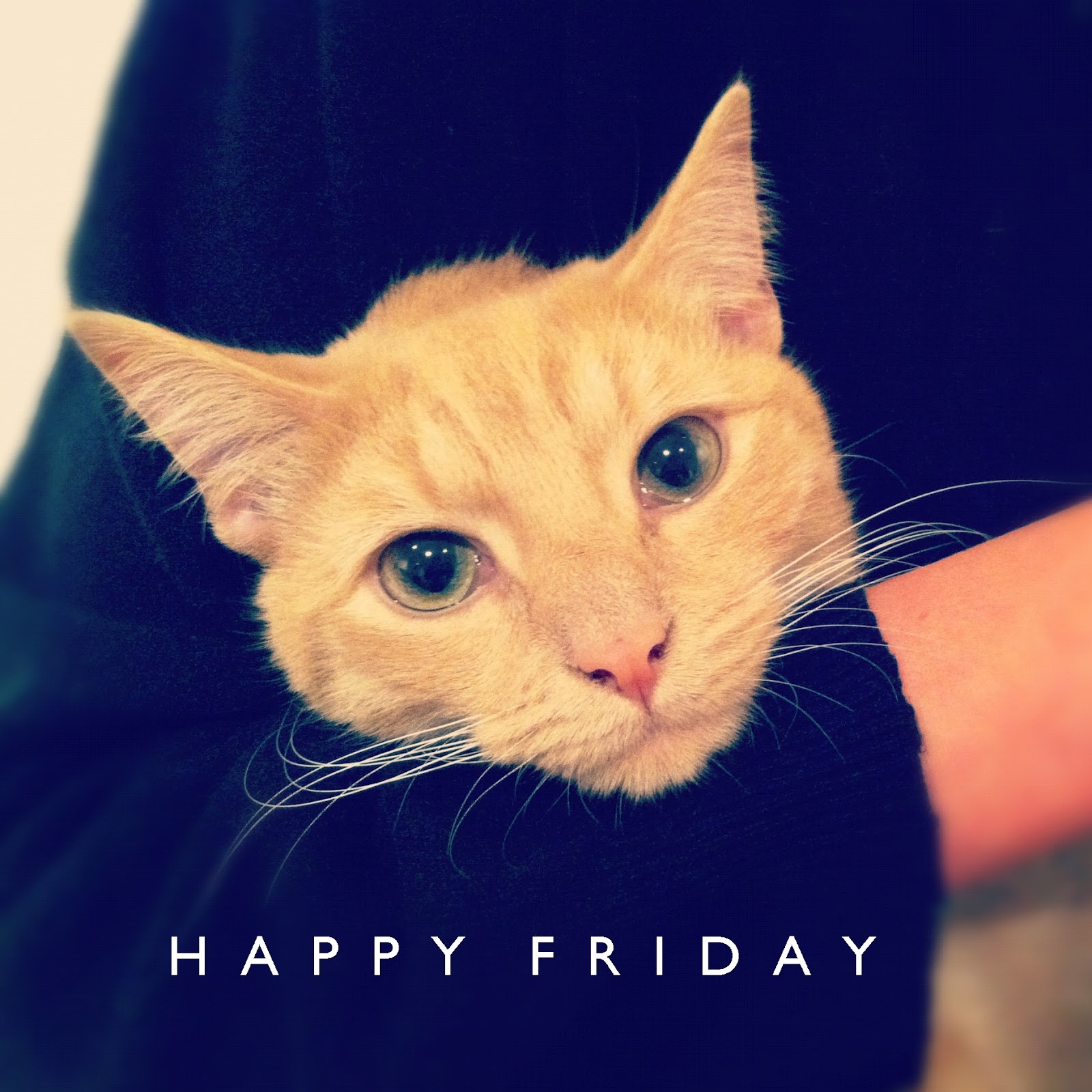 happyfriday4.jpg