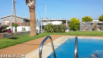 j3j3KDr.gif