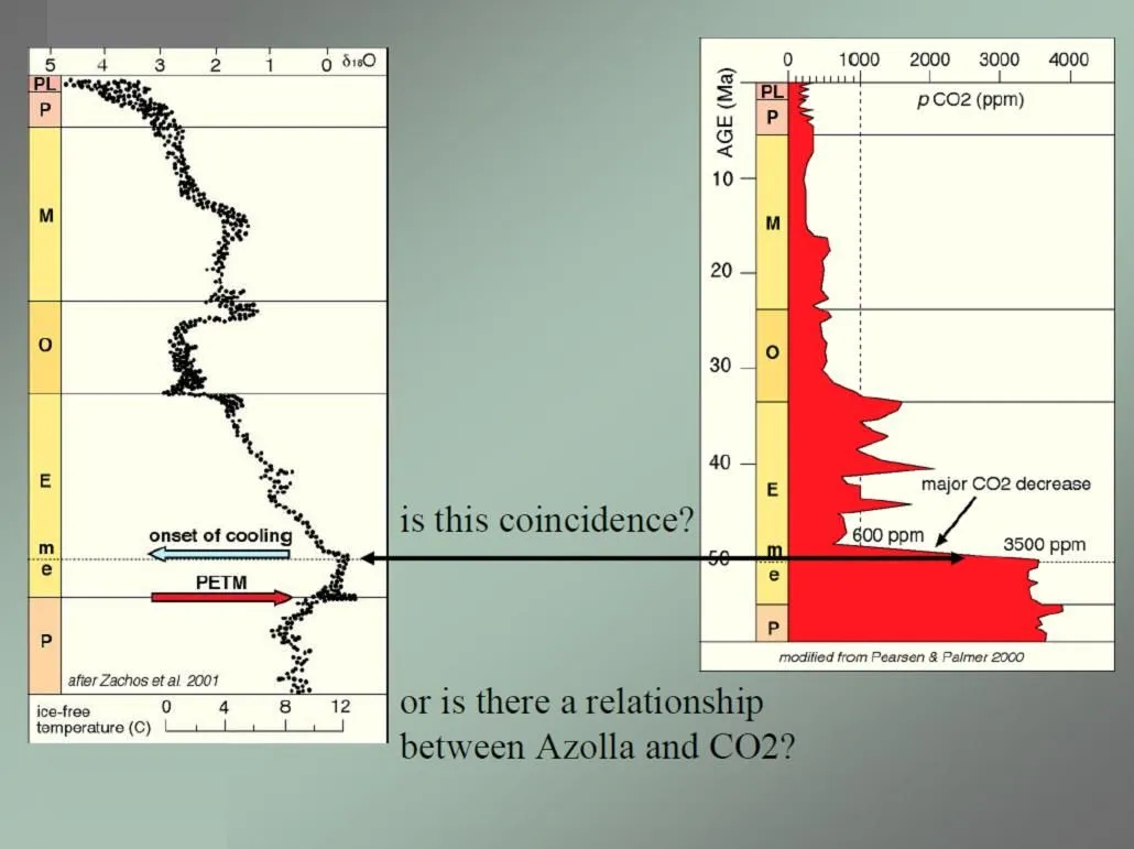 co2_2-jpg.95178