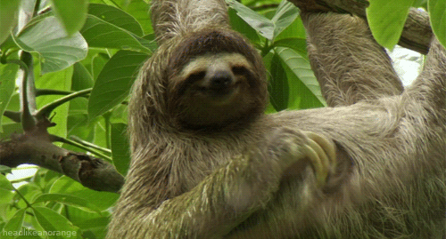 7mWkL.gif
