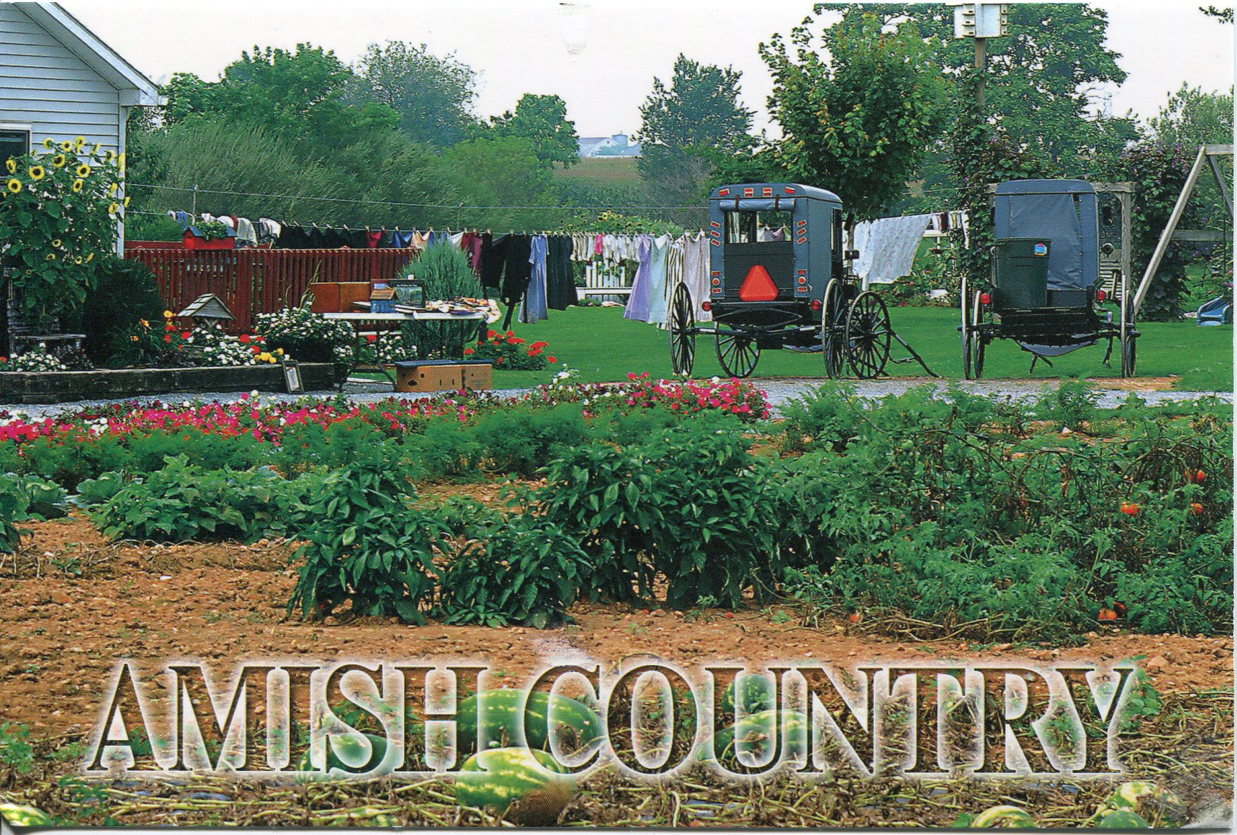 usa-z-amish-country.jpg