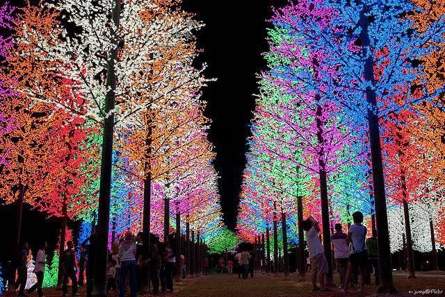 Perfectly+colorful+Christmas+lights+in+Selangor,+Malaysia.+Are+you+waiting+for+Christmas+too.jpg