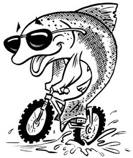 bike+fish.JPG