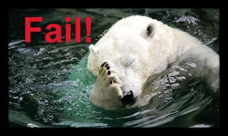 Polar-Bear-Facepalm-big.jpg