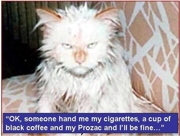 good_morning.jpg