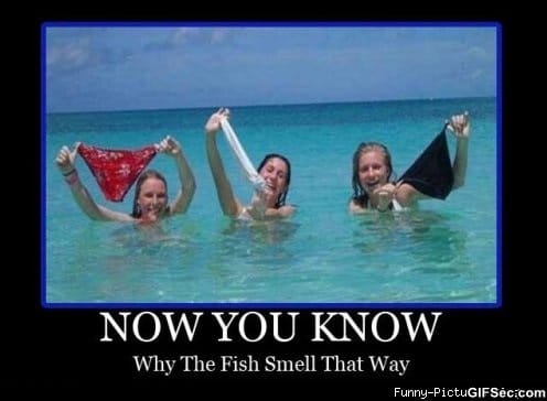 funny-pictures-23.jpg