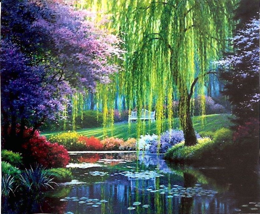 A+willow+tree.jpg