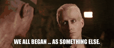 Rg1Sbq4.gif
