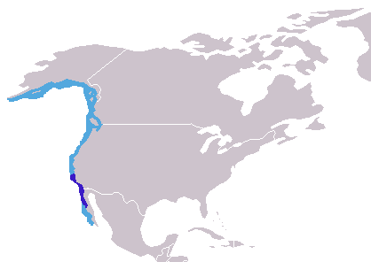 Mirounga_angustirostris_distribution.png