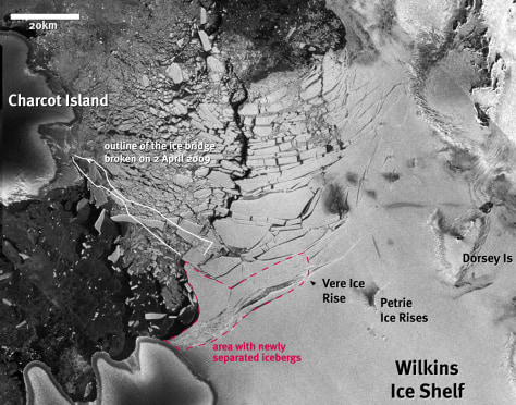 090429-wilkins-hmed-8a.grid-6x2.jpg