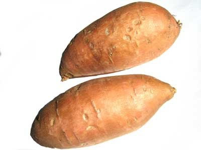 yam1.jpg