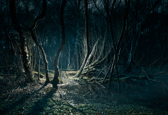 Swamp-1.jpg