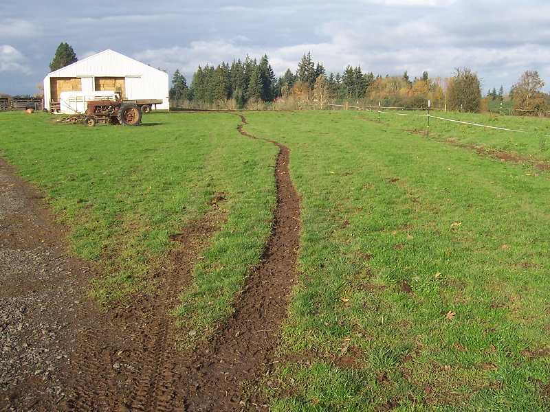 cow-trail-west.jpg