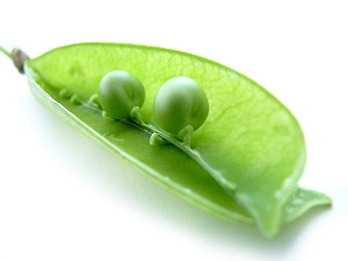 2peas.jpg