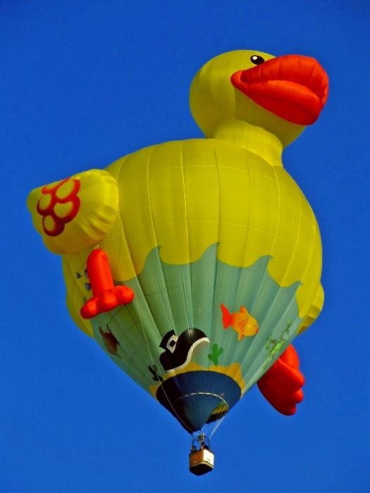 funny_balloons_12.jpg