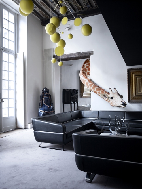 giraffe_in_livingroom.jpg