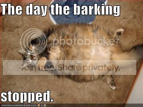 funny-pictures-cat-ate-dog-barking-.jpg