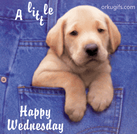 a-little-happy-wednesday-wish_728.gif