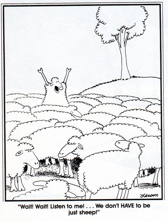 cartoon_more_than_sheep_c.jpg