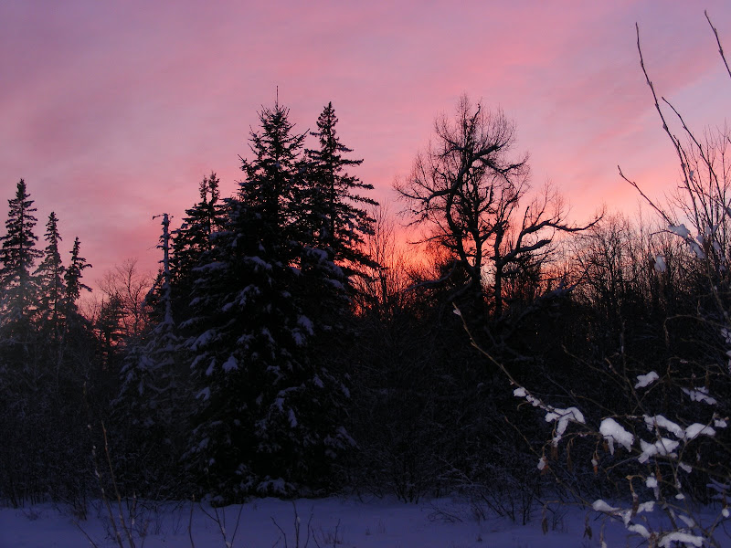 DSCF0263.JPG