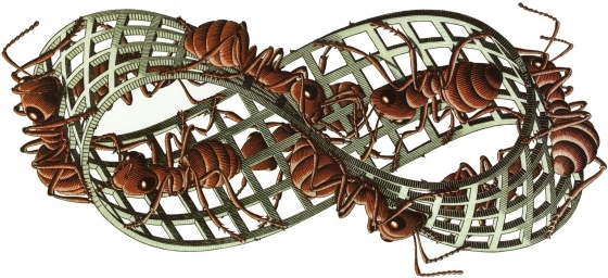 moebius-ants.jpg