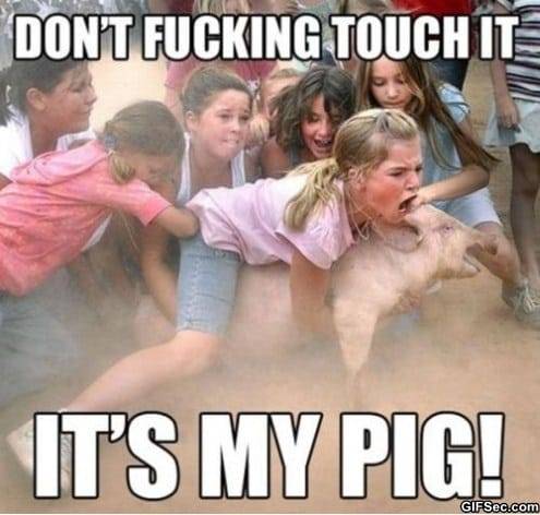 funny-picture-my-pig.jpg