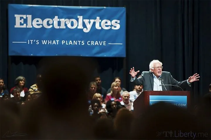 electrolytes-jpg.308221