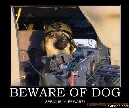 beware-of-dog.jpg