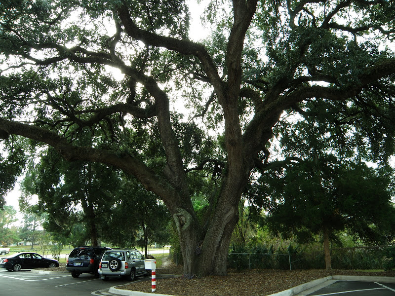 PB302829.JPG